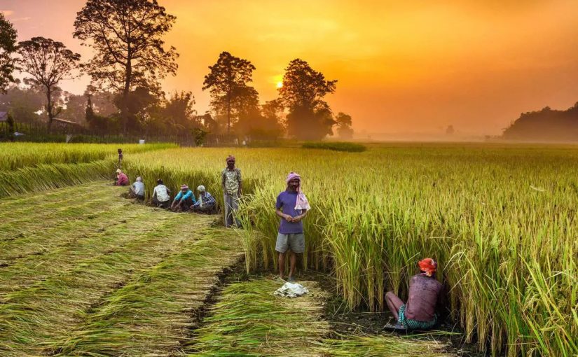 Importance of Agriculture in the Indian Economy!